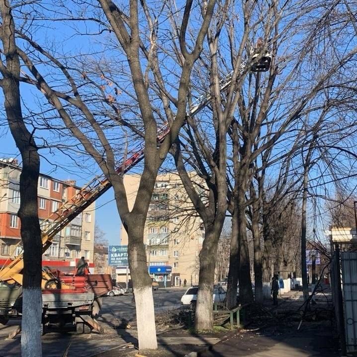 ������������� ��������������� �������: ������� �� ������