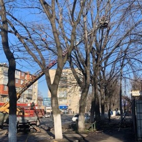 ������������� ��������������� �������: ������� �� ������