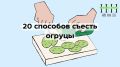 Огурцы: 20 креативных способов добавить хруст в ваш рацион