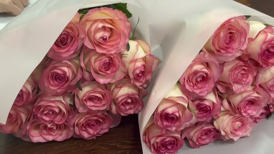 ������ �������: �������� �������� ��� ����� ������ ���������� ����������� ������� ��������