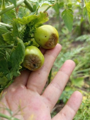 �������� ������ ���������: ��� ������������� ��������� ����� �������