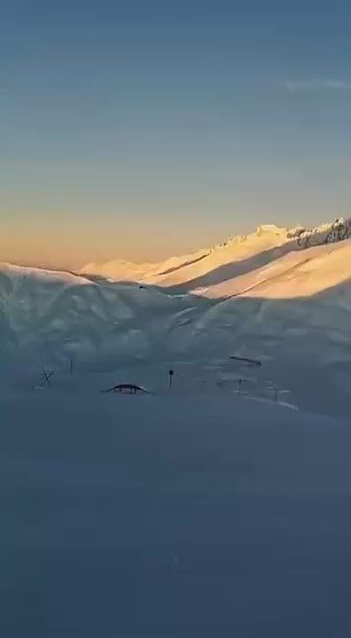 �� ����������� ������� ��������� ������� ����� ������