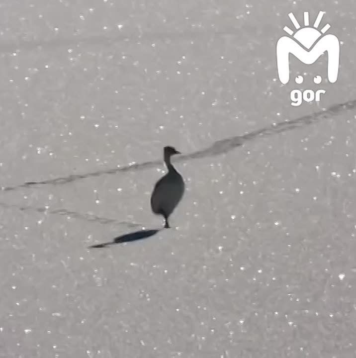 3 ������. �� ������� ����� �� ���� � ������� �� ����� ��� ��� ����� � ��������������� ������