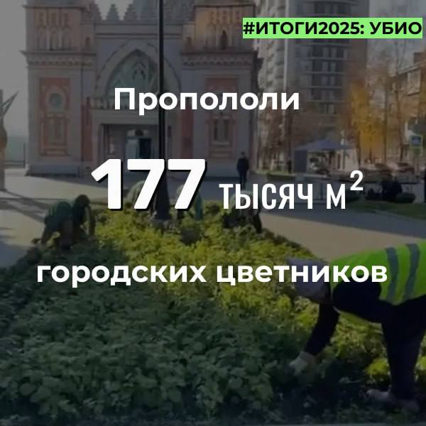 В этом году во Владикавказе высажено 942 тысячи горшечных и ампельных цветов для украшения города, а в рамках мероприятий по озеленению высадили 1 тысячу деревьев, включая хвойные и лиственные породы В этом году во Владикавказе высажено 942 тысячи горшечных и ампельных цветов для украшения города, а в рамках мероприятий по озеленению высадили 1 тысячу деревьев, включая хвойные и лиственные породы