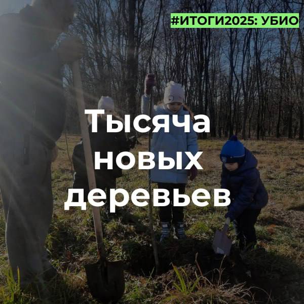 В этом году во Владикавказе высажено 942 тысячи горшечных и ампельных цветов для украшения города, а в рамках мероприятий по озеленению высадили 1 тысячу деревьев, включая хвойные и лиственные породы