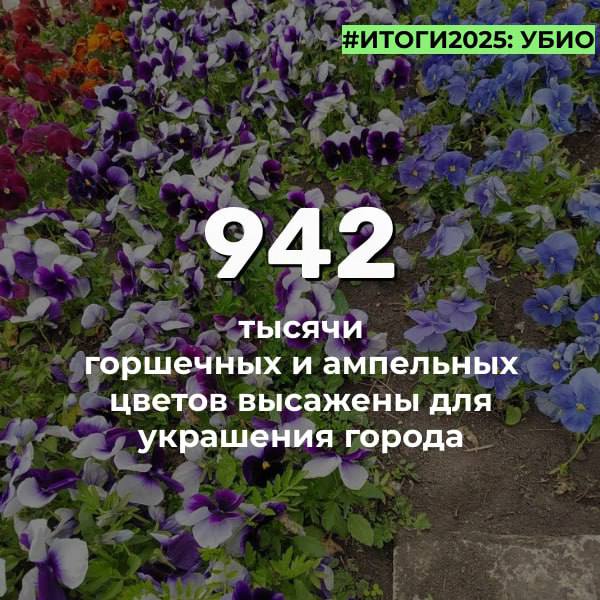 В этом году во Владикавказе высажено 942 тысячи горшечных и ампельных цветов для украшения города, а в рамках мероприятий по озеленению высадили 1 тысячу деревьев, включая хвойные и лиственные породы В этом году во Владикавказе высажено 942 тысячи горшечных и ампельных цветов для украшения города, а в рамках мероприятий по озеленению высадили 1 тысячу деревьев, включая хвойные и лиственные породы