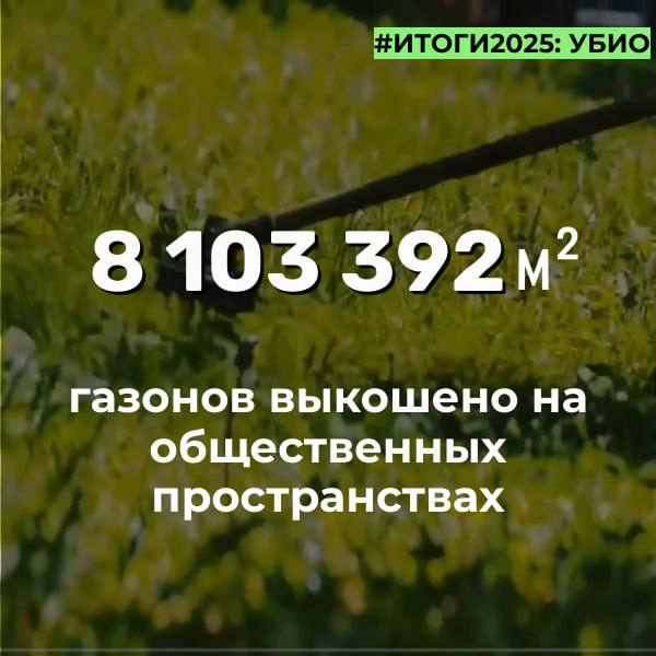 В этом году во Владикавказе высажено 942 тысячи горшечных и ампельных цветов для украшения города, а в рамках мероприятий по озеленению высадили 1 тысячу деревьев, включая хвойные и лиственные породы В этом году во Владикавказе высажено 942 тысячи горшечных и ампельных цветов для украшения города, а в рамках мероприятий по озеленению высадили 1 тысячу деревьев, включая хвойные и лиственные породы