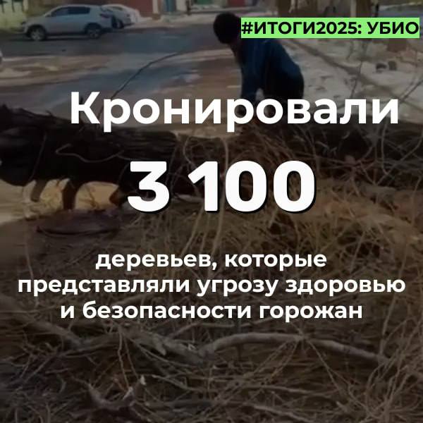 В этом году во Владикавказе высажено 942 тысячи горшечных и ампельных цветов для украшения города, а в рамках мероприятий по озеленению высадили 1 тысячу деревьев, включая хвойные и лиственные породы В этом году во Владикавказе высажено 942 тысячи горшечных и ампельных цветов для украшения города, а в рамках мероприятий по озеленению высадили 1 тысячу деревьев, включая хвойные и лиственные породы