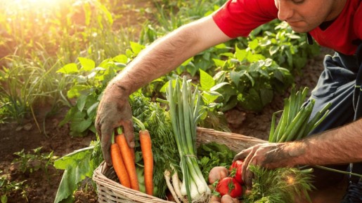 ��� ������� ������� ���� ������: ������ ��� ���������