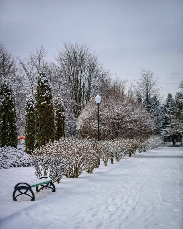 ������ ������ ����������� 2026 ����, ������!