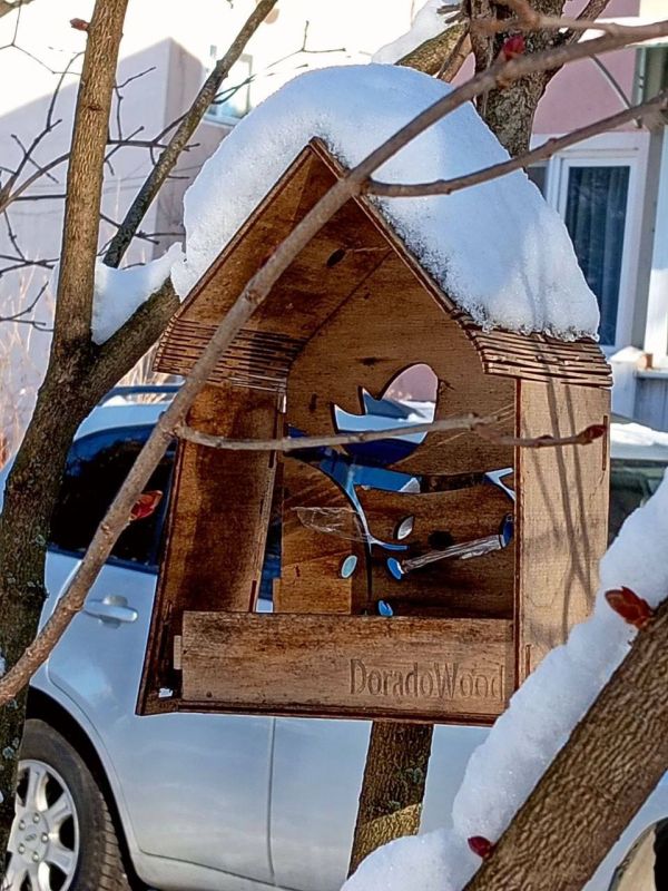 ���� �. �����������. ���� ���������� � ����� ���� � � ���� � ������ .. �������� ������, ������������ ����� � �������, ��������� ���� ���������