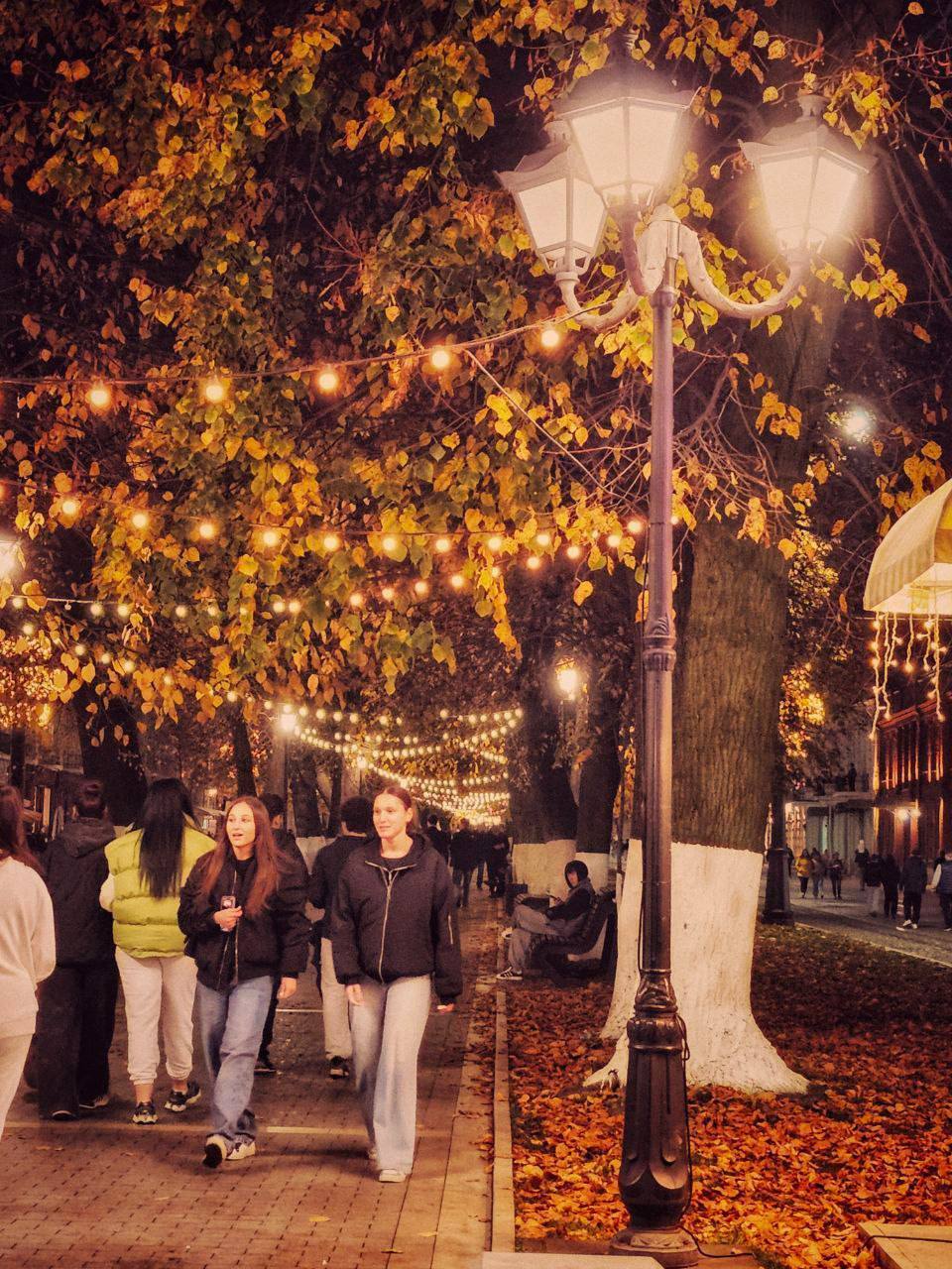 Камеры видеонаблюдения и безопасность Камеры видеонаблюдения и безопасность