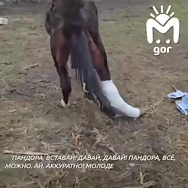 ���� ������� ��� ������ ���� � ������� �������, ������� ������ � �������� ������, ��� �� ��������