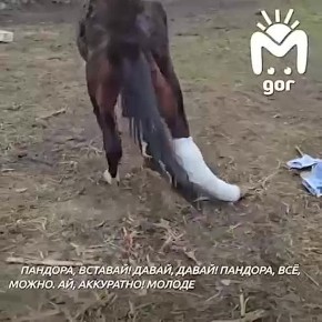 ���� ������� ��� ������ ���� � ������� �������, ������� ������ � �������� ������, ��� �� ��������