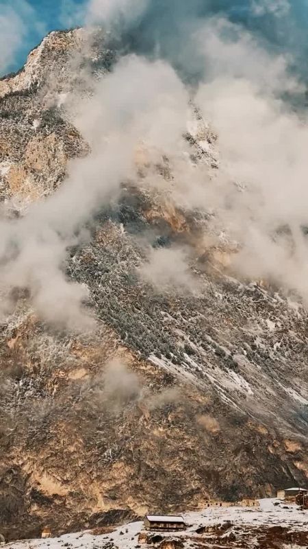 ���� �����, ���������� �������� ������