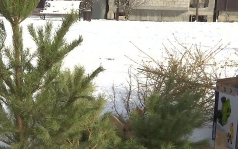 �� ����� ����� ���� � �������� ����������� ������ ����� �� 3000 ������