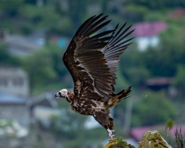 �������� 11 ������ � ����� ������ ���������� ���� ������������ � ������������ ������