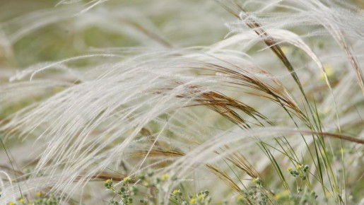 ��� ����� ����� �������� ������������ ����� � ����: ��������� ���� ��������