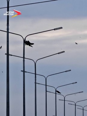 ���������� ������ ����� �� ������ ��������� ���������� ��������� ������ ���� ��� ������� ���� �����