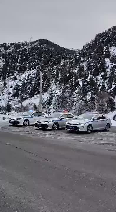 �������� �������� �� ������ �������� ����� ���������, ��� ����������� ������� ������������� �����������