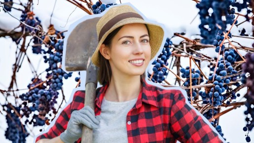 ������� ��������� ������ ����� ����������: ��� ��� ����� ������� � ����� �� �����