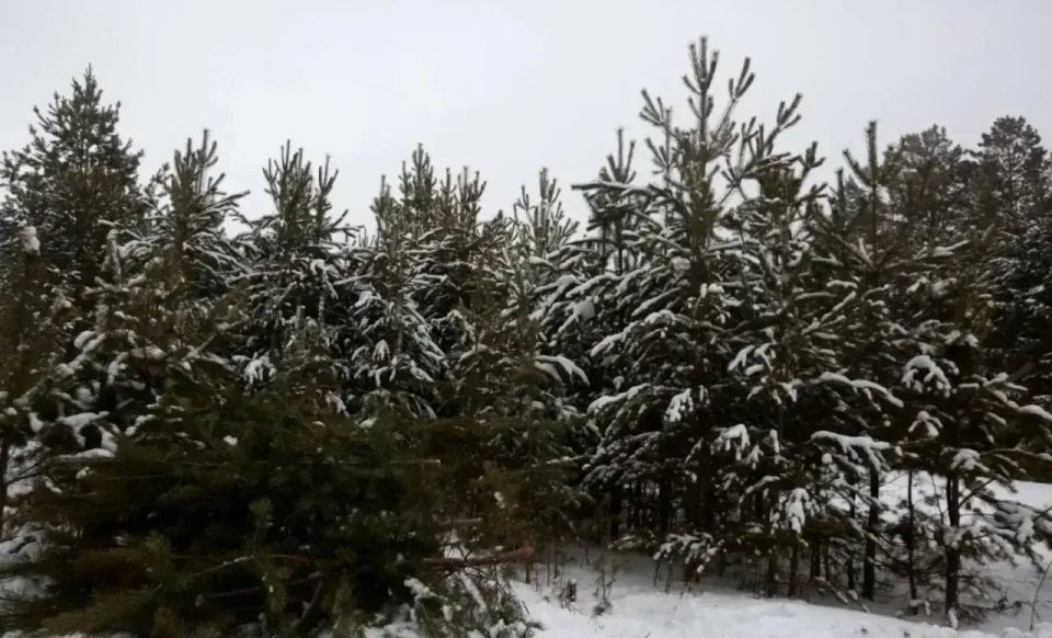 � ���������� ���������� ���������� � ����� �������� ������ �� ���� �������� �� ������ ������ ���������� ������� ����