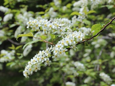 �������� � ����: ��� �� ��������� � ���������� ����� �������� ��� �������?