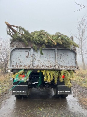В поселке Заводском ликвидировали елочную свалку