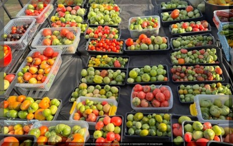 ������, ������� ��������� ������ ��������: ����� �������� ������