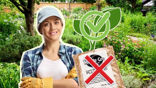 �������� �� ������� � �������� �� ����������: � ����-��������� ���� ���� ����� �������