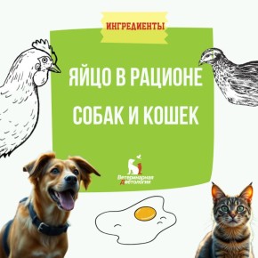 ��������� ������� ���� ��� ����� � �����?