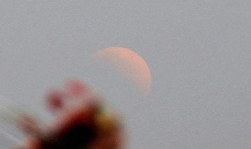 �������������� 2026: ����� ����������� � ����� ��������