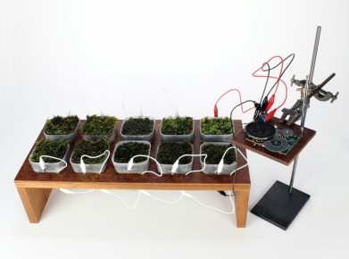 ��� �������� ���������� ���������� �������������: ������� �� �������