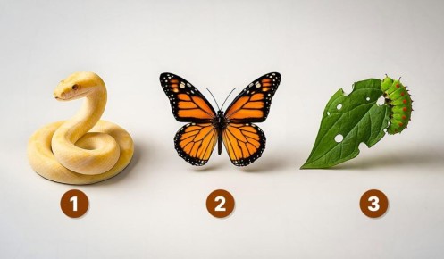 ���� �� ������ �������������: ������ �� �� � ���������?