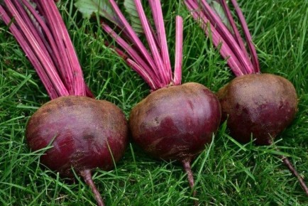 ��� ��������� �� ������ � �������: ������� ���������� ������