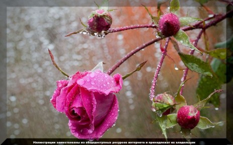 ��� ���������� � ����� � �������: ������ �� ��������� � ����� ����� ������