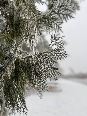 ������ ����, ������!. �������, 19 ������, ������������ ��������� �������� �������� ��������