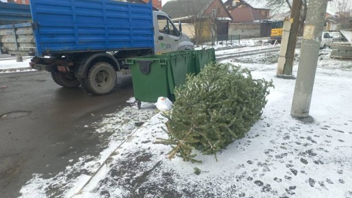 ������������ �������� ���� ����� �������� ����� ���������� ���� �� ������������