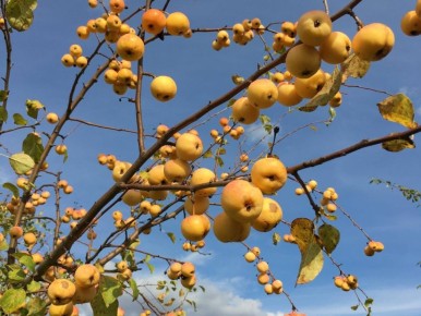 ��� ��������� ������ �� �����: ������� ���� ������������