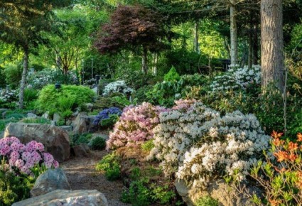 ����� ������ � ����������� ����