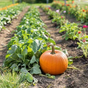 ����� �������� ������ ����� ��� ��������� ������� ������