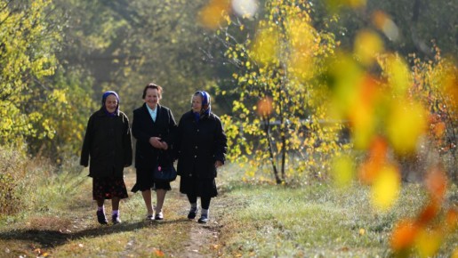 ������ ����� �� ������ � 2026 ����: ��� ������� ������