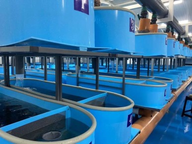 � 2025 ���� ������������ �������� ���� � �������� ������ ������� ����� �� 30% � ��������� 10 ����� ����