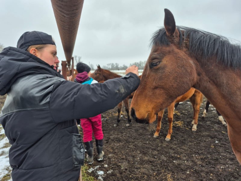 В Северной Осетии учащиеся спецучилища в рамках акции «Студенческий десант» попробовали себя в роли полицейских кавалеристов В Северной Осетии учащиеся спецучилища в рамках акции «Студенческий десант» попробовали себя в роли полицейских кавалеристов