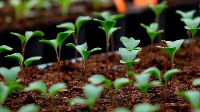 ����� ������� �� ����� �����: �������� ������� � �� �������