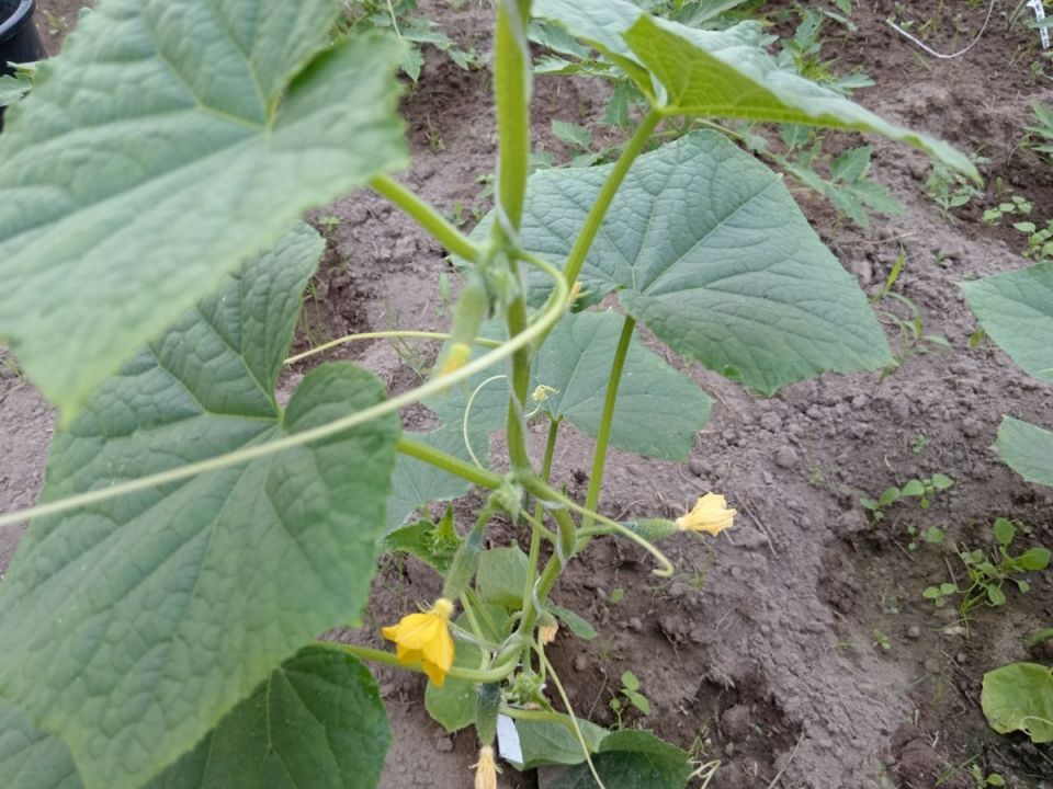 ��� ����� � ��������� ������� � ������� �������� �������� ������ ������ � ������� ������