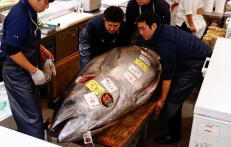 ���������� �� ������� ����������� ������: ������� ����� �� �������� � ����� � ��� ����� ��� ����