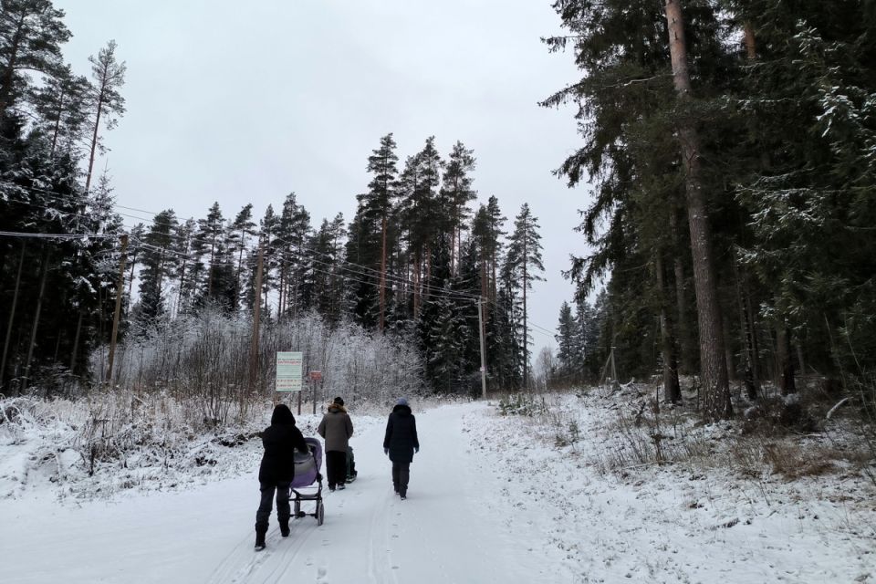 ����� ������, � ���� �� ����������: ����� ����� �������� ������������ ������