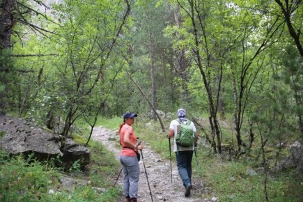  2025 ���� ���������� ���������� �������� ������ �������� ����� 36000��������