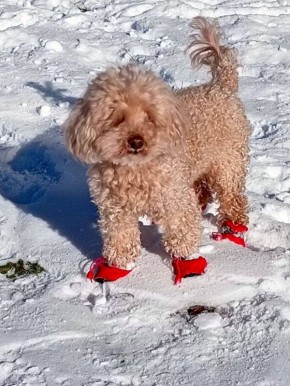 ���� �. �����������. ...� ���� ������ ��������� �������, �� ����� �������� ������ �� �����!